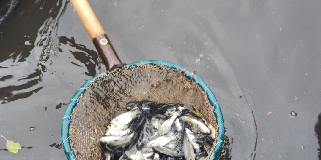 Саратовцам рассказали о запрете на рыбалку с 20 апреля