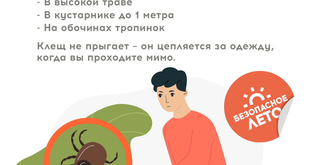 Клещи и дети: как обезопасить себя
