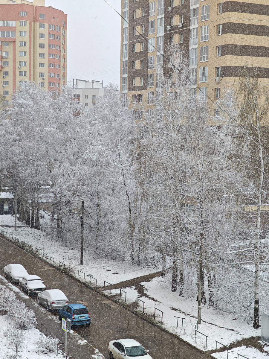 20 апреля 2026 г