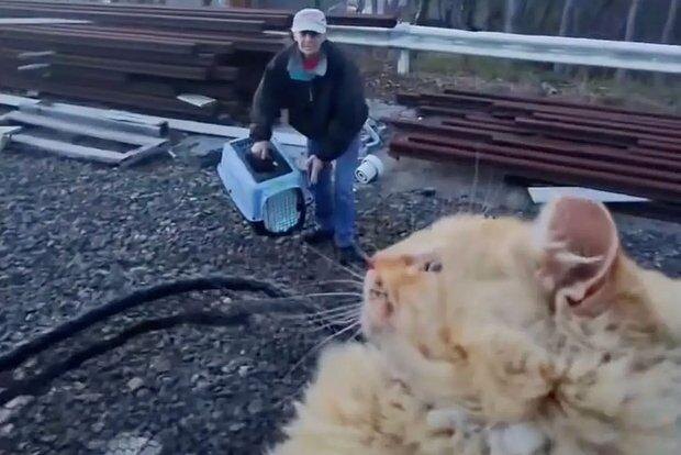 Обложка © Facebook (запрещенная в России соцсеть; принадлежит корпорации Meta, которая признана в РФ экстремистской и запрещена) /John Debacker