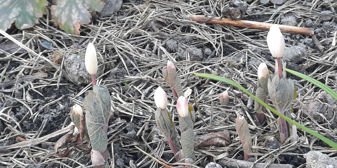 Что на новенькое? Открытия последних дней