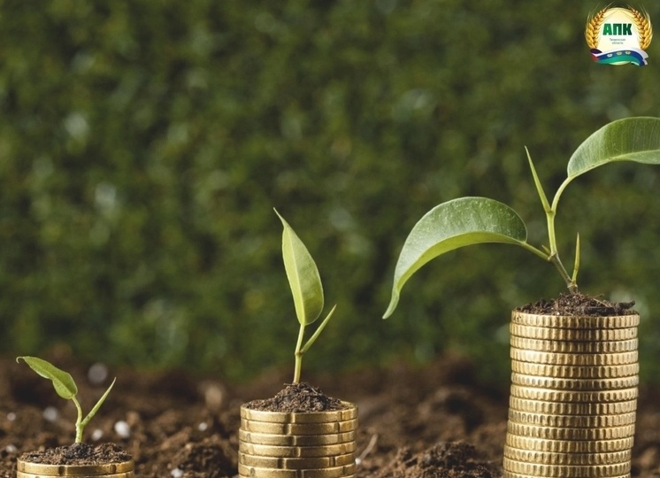 Аграрии Тюменской области могут получить субсидии на выращивание овощей