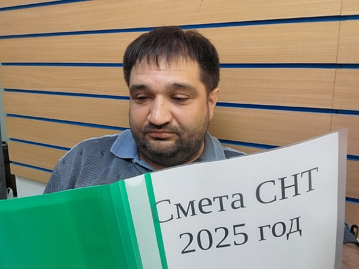 Председатель изучает смету общества