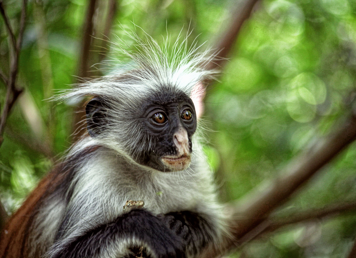 Здрасти, я к вам...