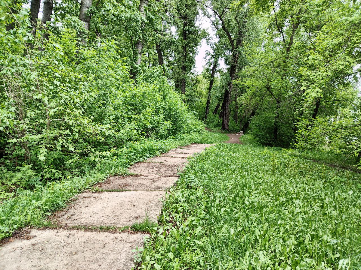 Фото автора.