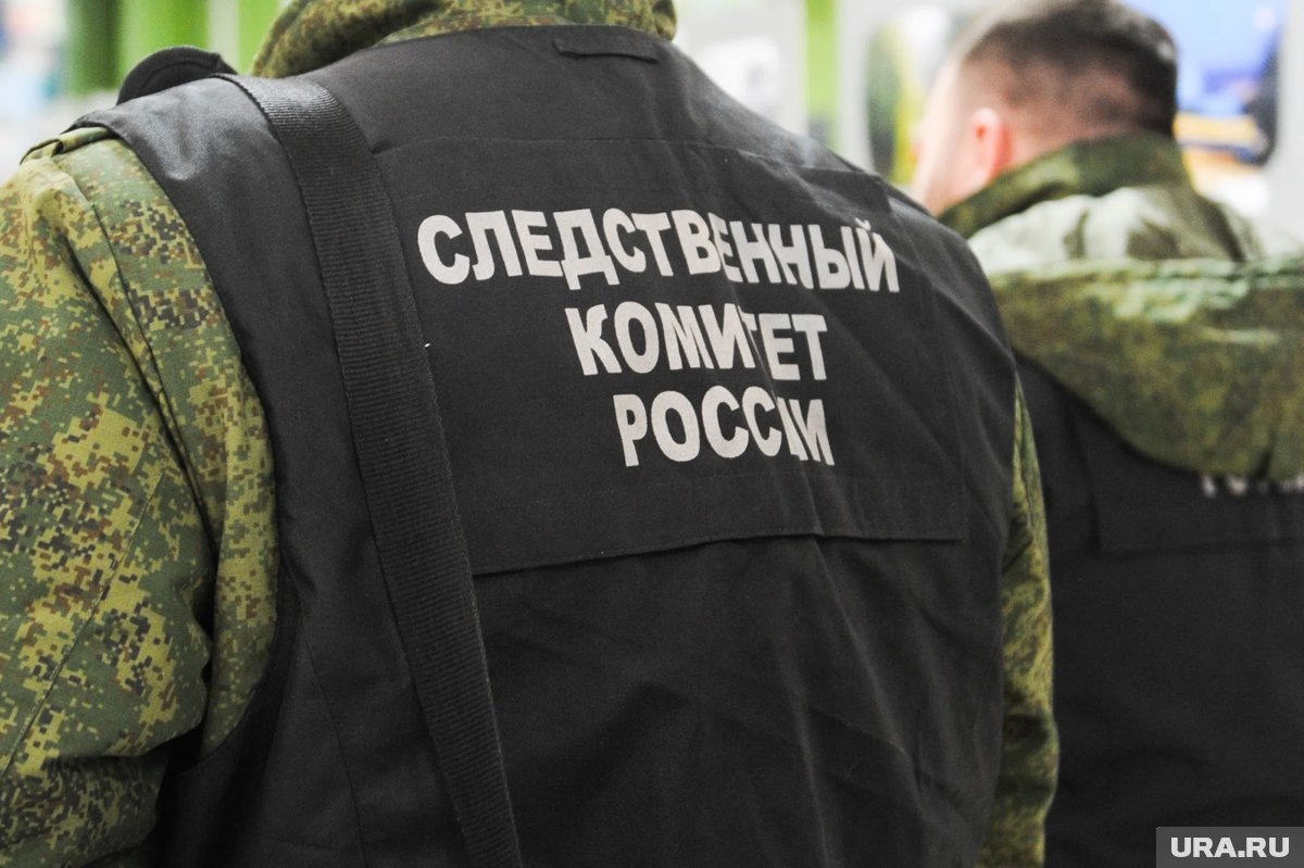     СК Тюмени приступил к расследованию дела о конфликте матери ребенка-инвалида и их соседки