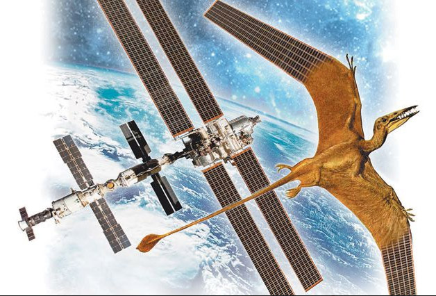 О полётах мозга