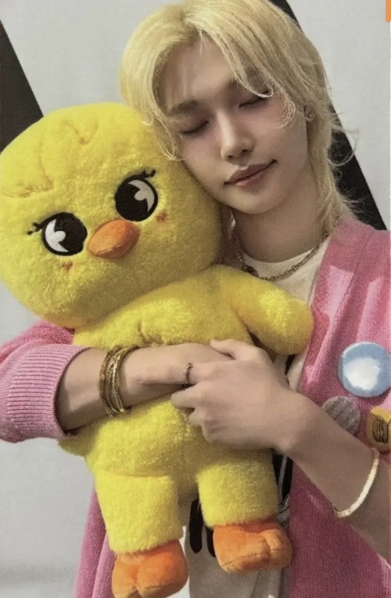 Милый Солнышко-Цыпленок Ли Феликс из Stray Kids! 