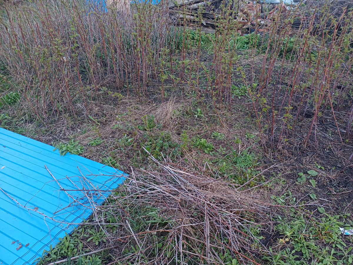 Ещё небольшой участок остался не убран