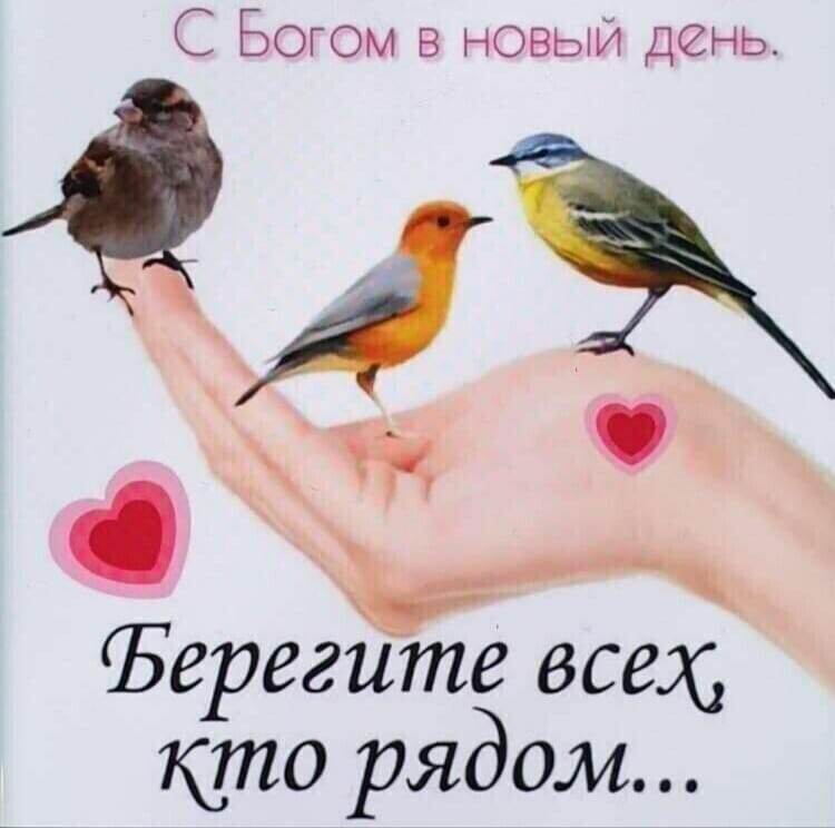 Фото из интернета. 