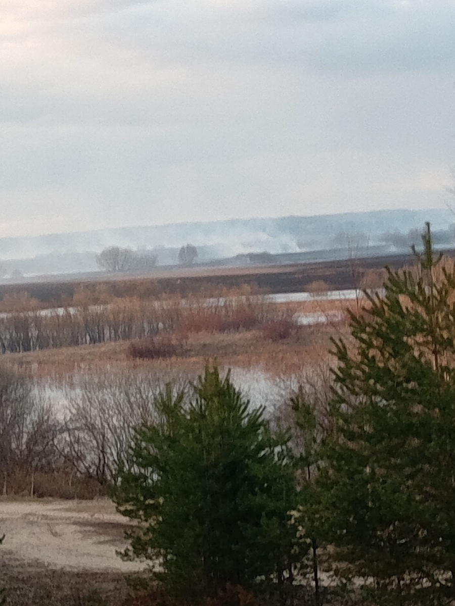 фото от тети