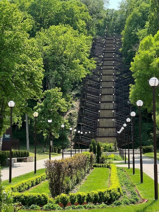 Фото из интернета 