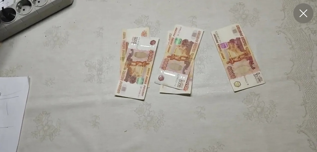 Фото взято из открытого доступа интернет.