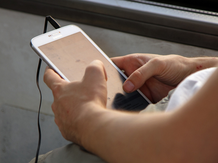     фото: медиасток.рф