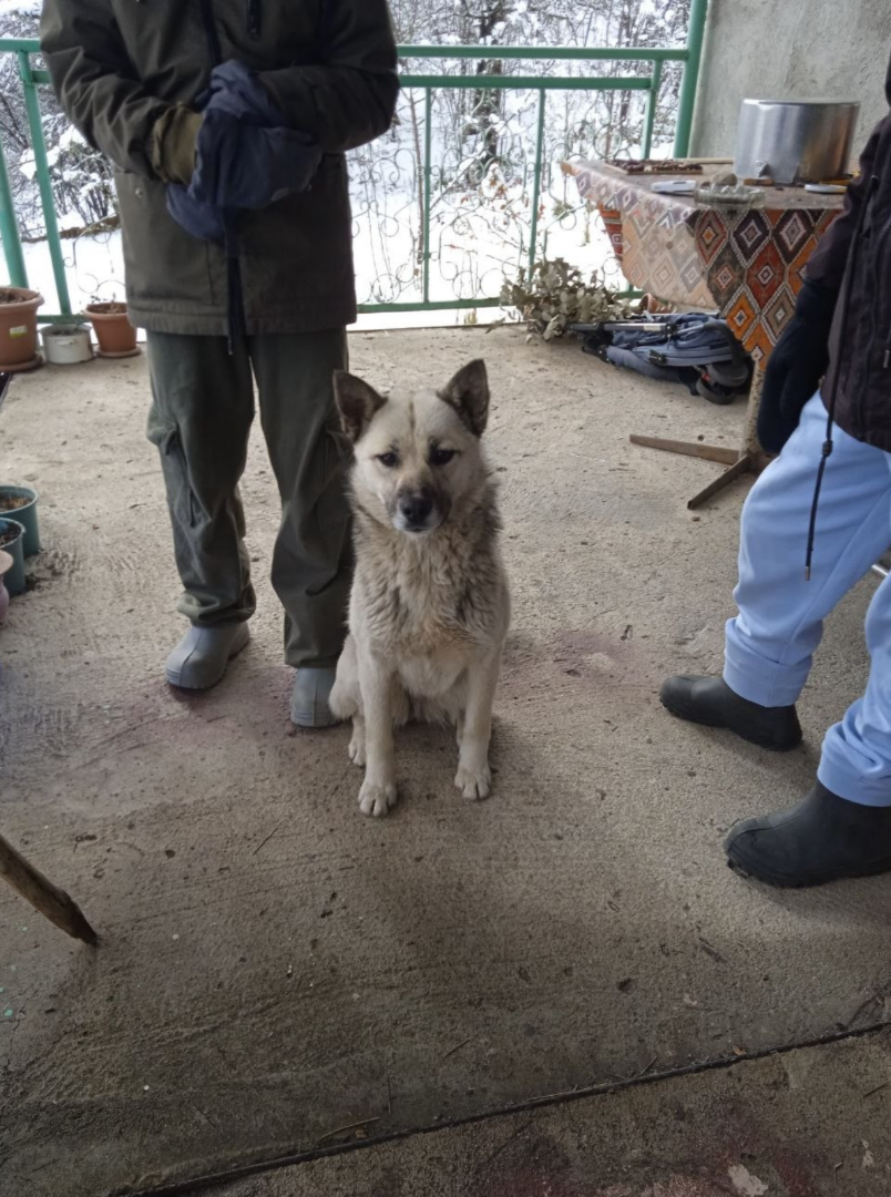 Знакомьтесь - Раиса Захаровна.