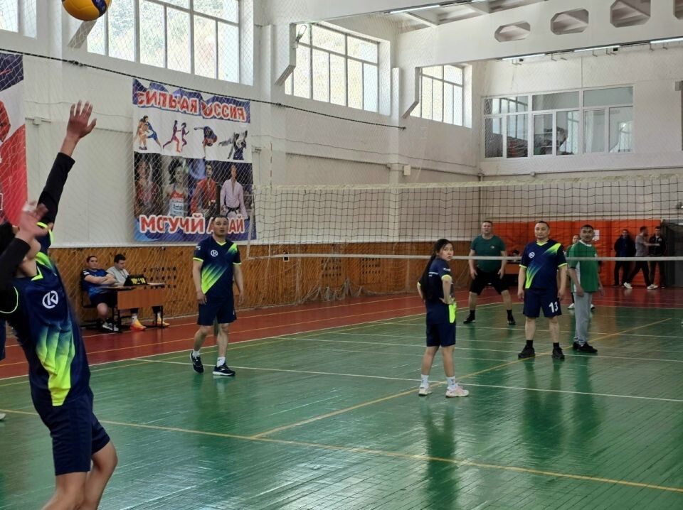    "Кубок главы Республики Алтай" по волейболу среди органов госвласти. Источник: Федерация Волейбола Республики Алтай