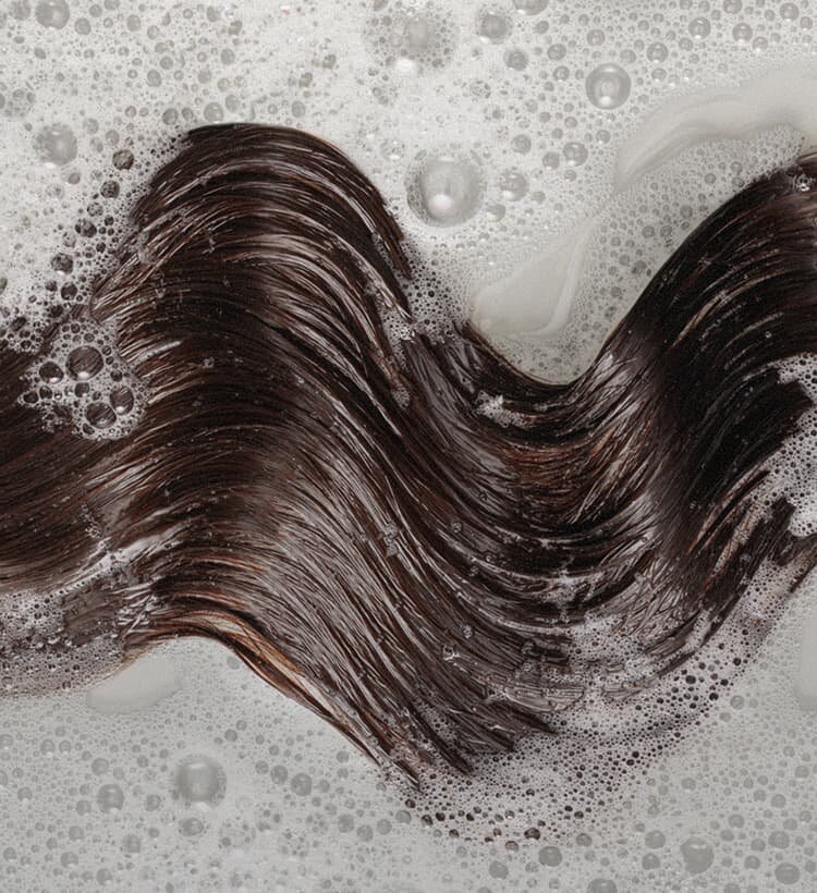 фото: Shutterstock
