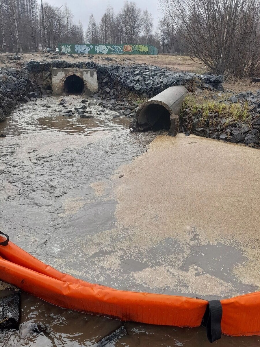   Депутат Петросовета Тужикова Ольга / vk