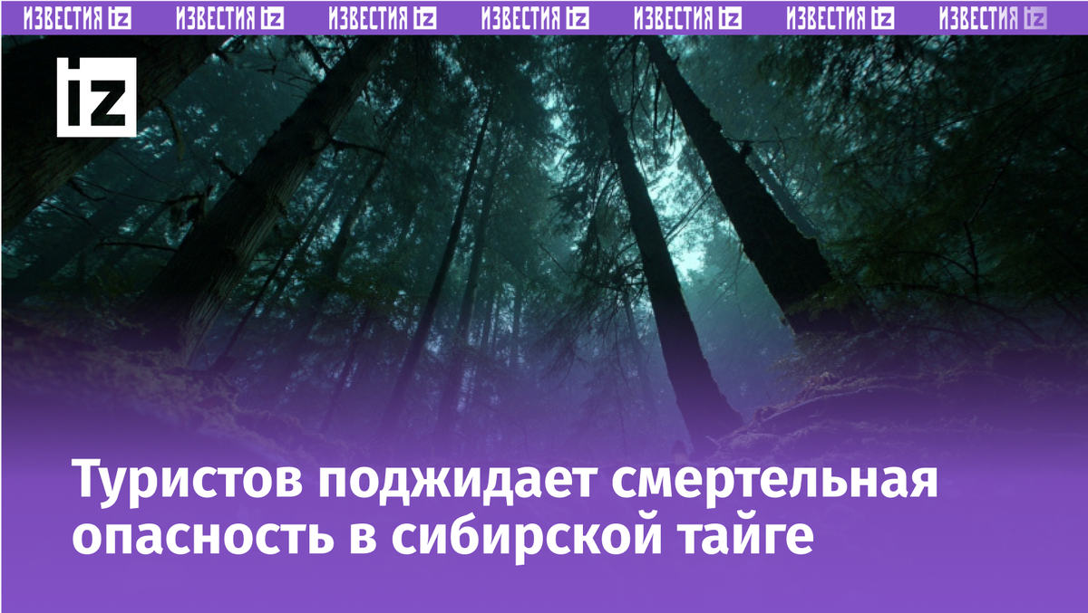 Фото: 5-tv.ru