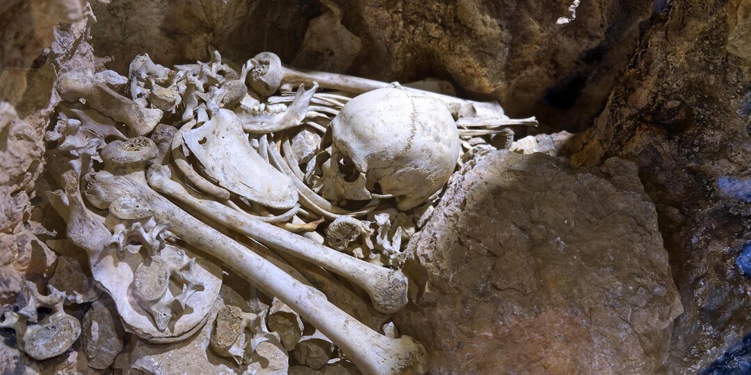 Nature: массовое вымирание европейцев 5 тысяч лет назад могла вызвать чума