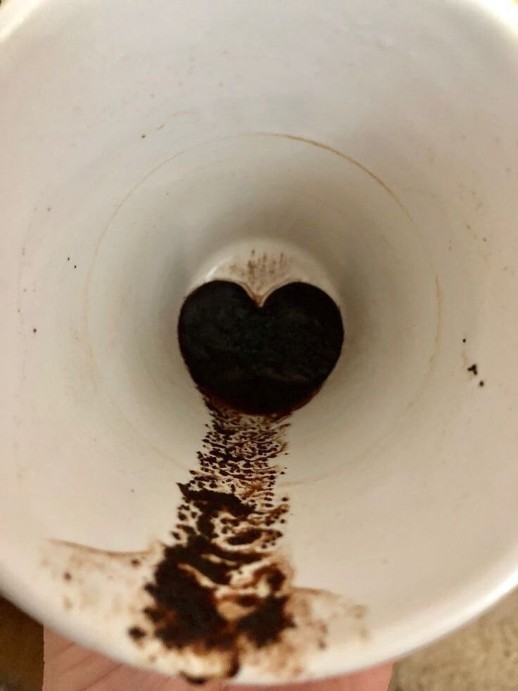 Путешествие по миру Кофейной Гущи