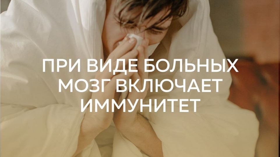 В критической ситуации, многие из нас замирают и надеятся, что «само всё разрулится