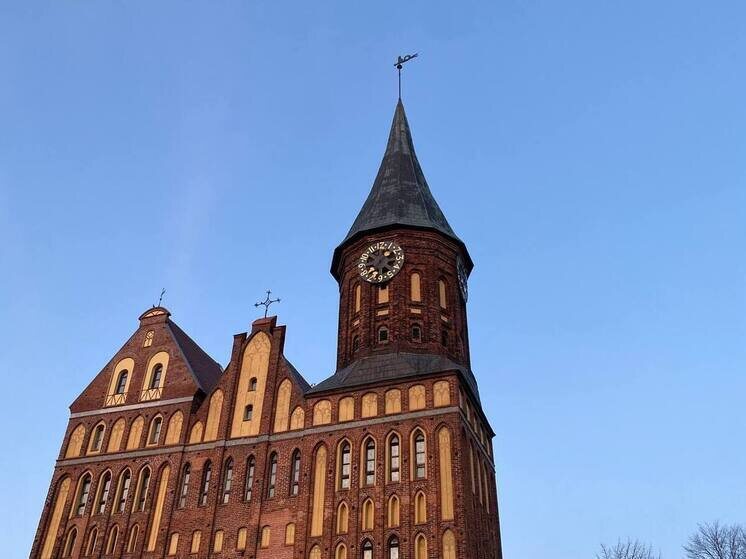     Фото: архив «МК в Калининграде»