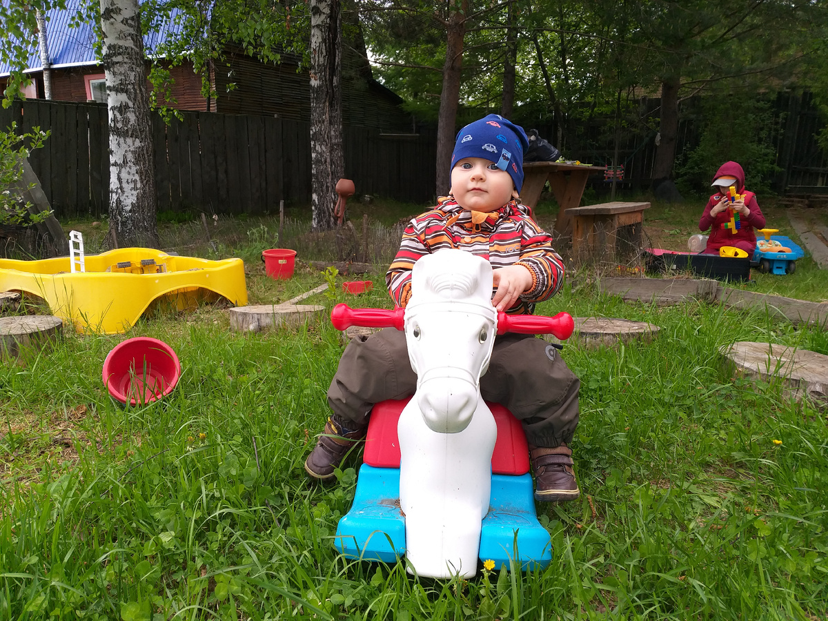 Архивное фото с нашей прежней дачи, 2020 год. На коняшке Захар 😁