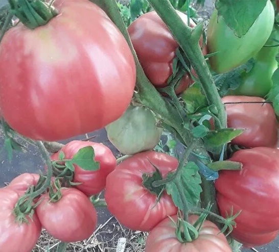 Хочу уже лета) 🤩🤩🤩