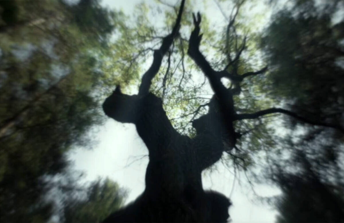 Кадр из трейлера фильма «Шурале»