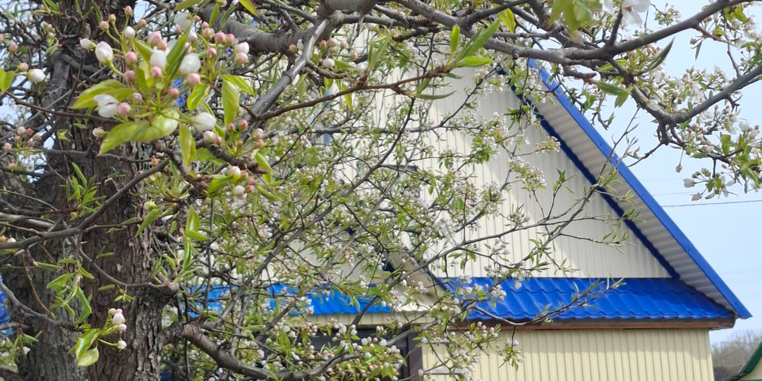 Снег и гололёд в Башкирии в конце апреля: прогноз погоды на 21 и 22 апреля