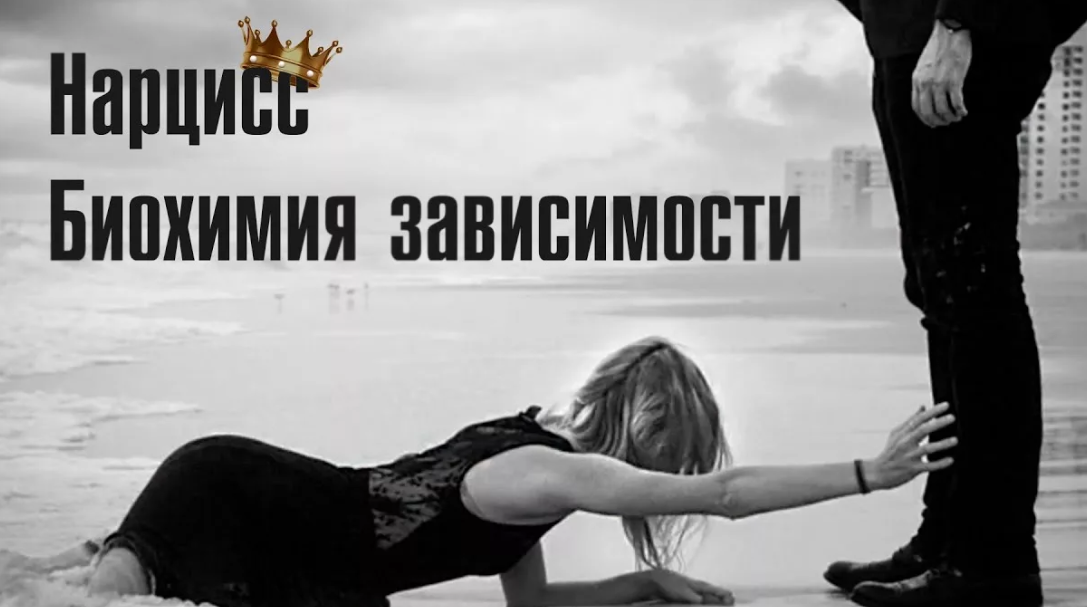 Фото из интернета