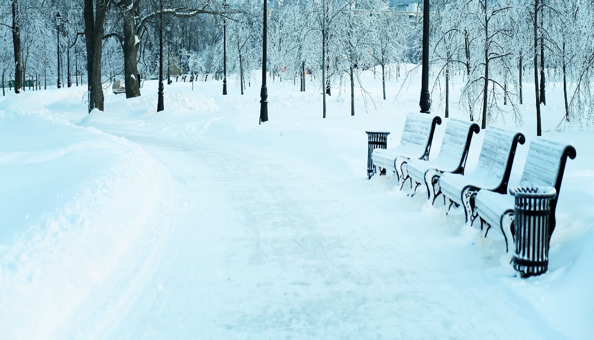    Фото: iStock/Vladitto