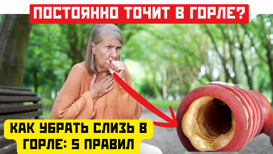 Ком в горле, который не проглатывается. Это не простуда и не нервы. Я объясню, откуда он берется