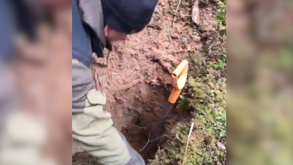 Поисковики отряда «Авангард» обнаружили останки бойцов в Селижаровском округе