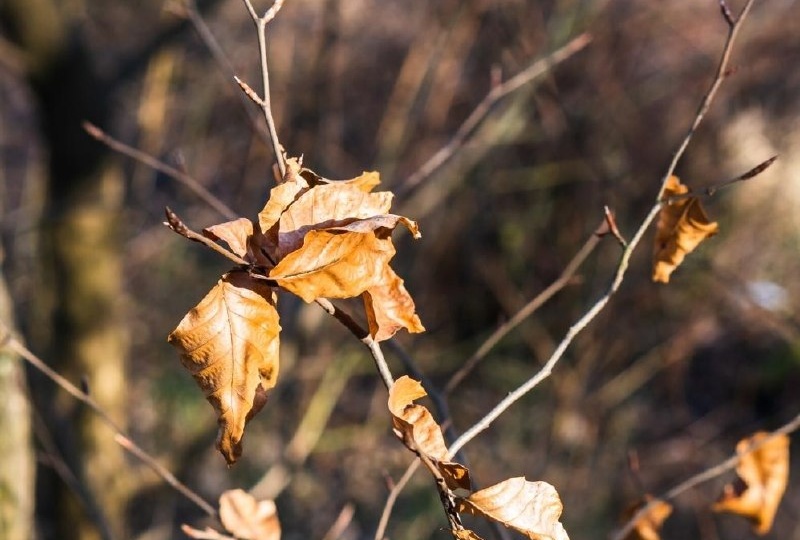 🌞 Прогноз погоды на завтра, 21 апреля