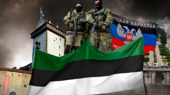 Нарвская Народная Республика. Боль Эстонии. Идеология, планы, границы