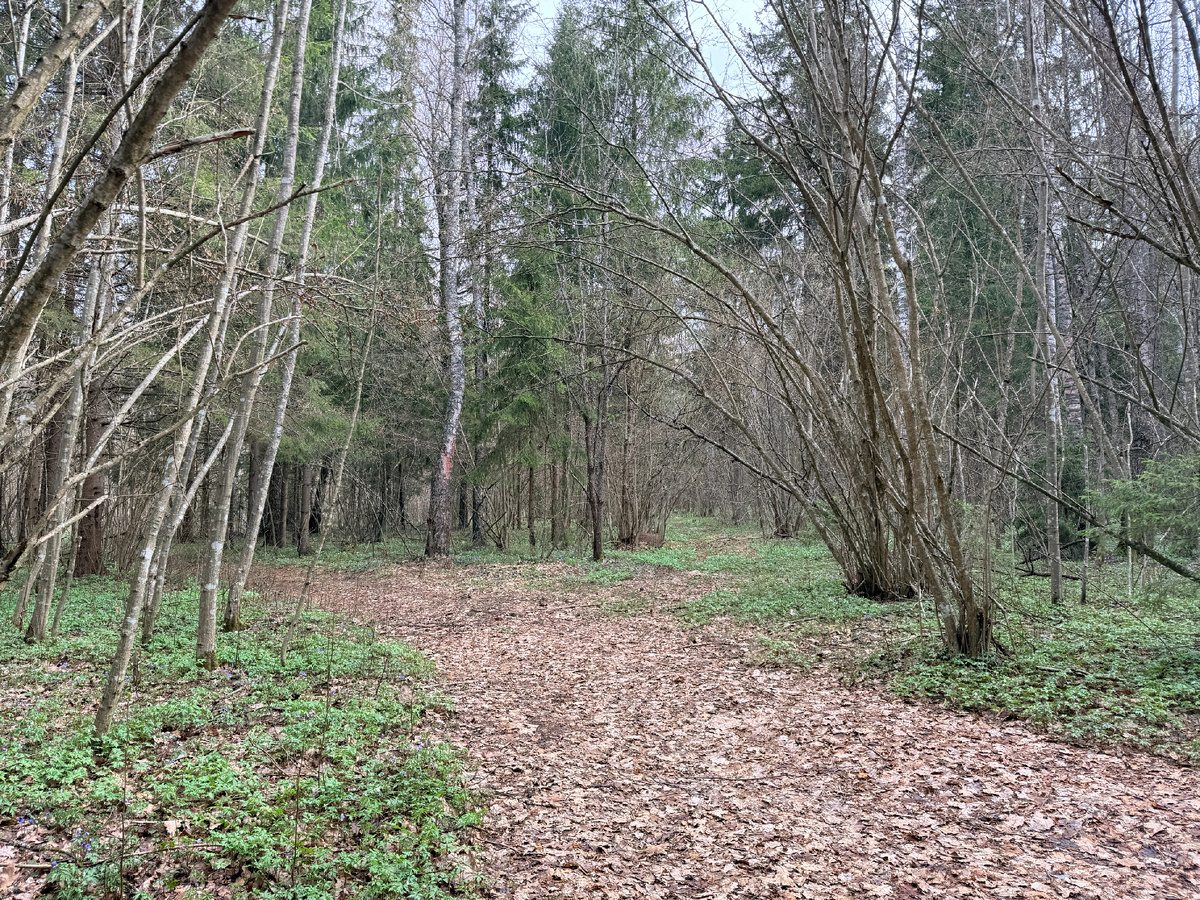 Вход в "заповедник". Фото автора. 20.04.26