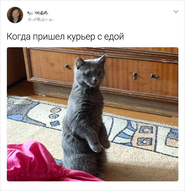 © kazakova10b / Twitter