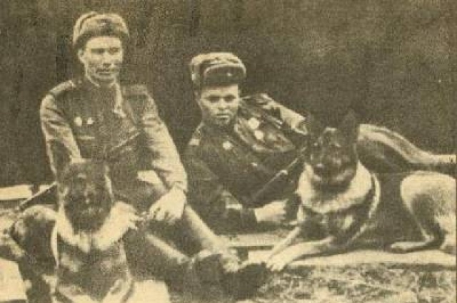 Справа овчарка Дина с А. Филатовым