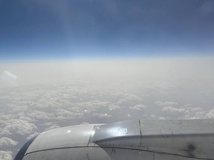     Фото: архив МК в Питере