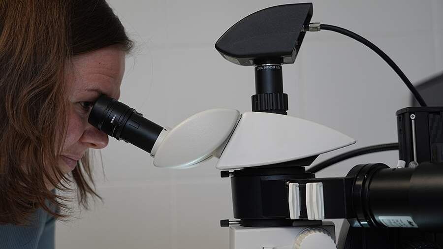 Ученые связали неолитический упадок 5 тыс. лет назад с древней чумой