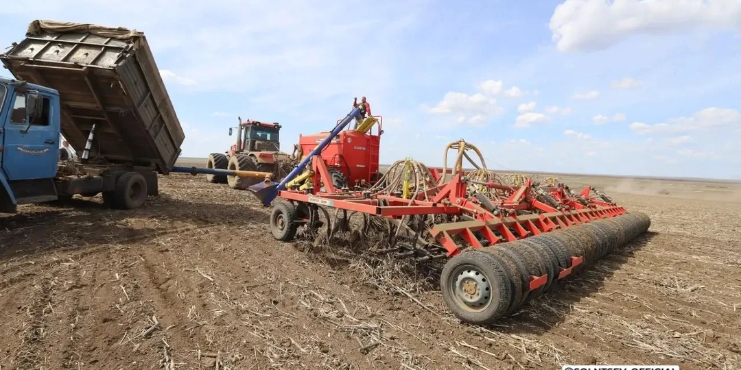 В Оренбуржье посеяли первые 700 гектаров овса