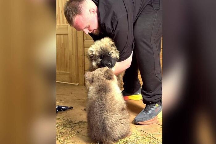 Обложка © Telegram / «Земля Прайда»