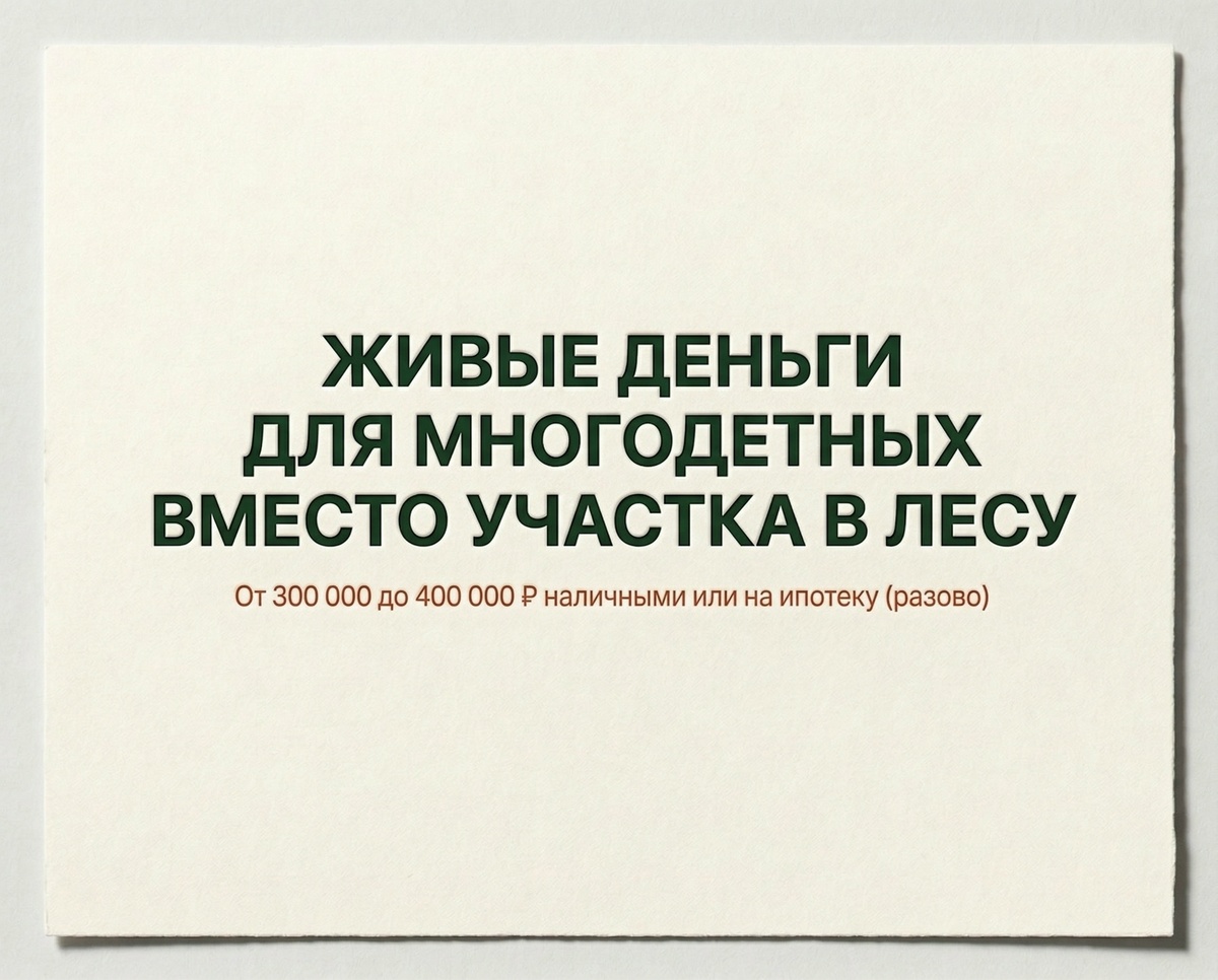 Земля для многодетных: как получить до 400 000 рублей вместо участка в чистом поле