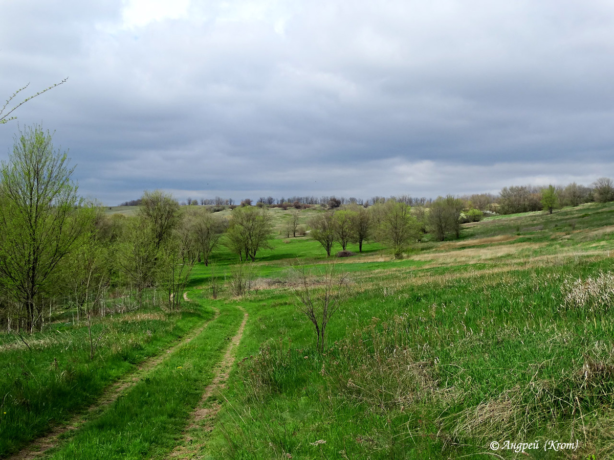 Местность за селом