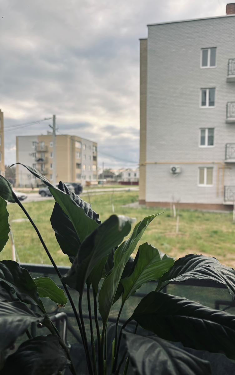 Сегодня пасмурно, ветер и +7