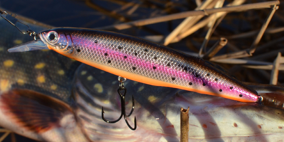 Какая рыба идеально подходит для ловли на воблер?