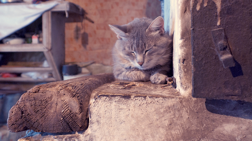 фото из интернета