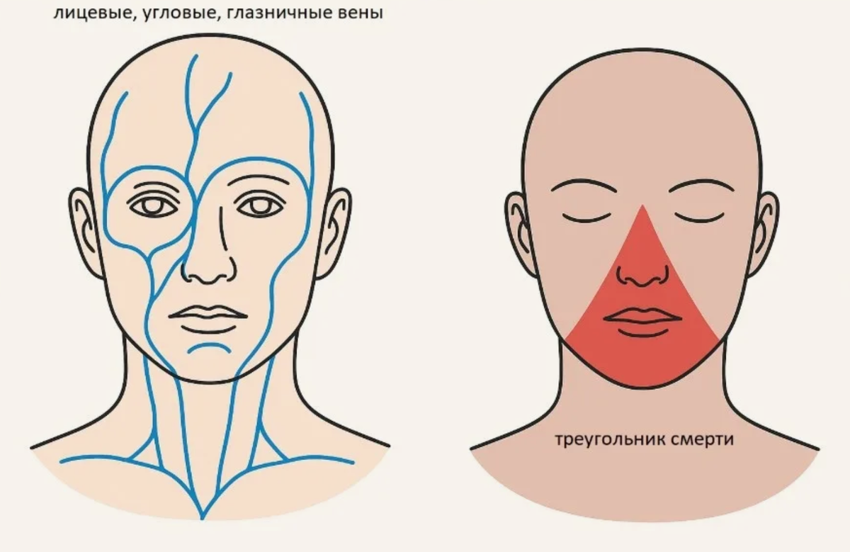 фото из открытого источника